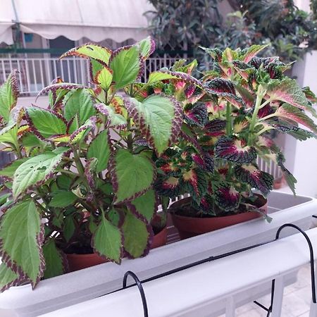Athens Lovio Apartment ภายนอก รูปภาพ